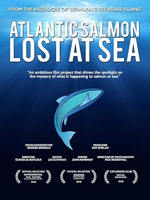 Atlantic Salmon: Lost at Sea