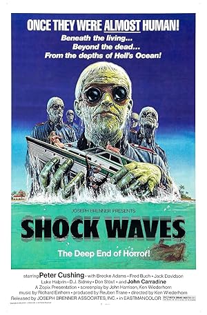 Shock Waves