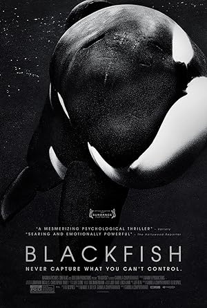 Blackfish