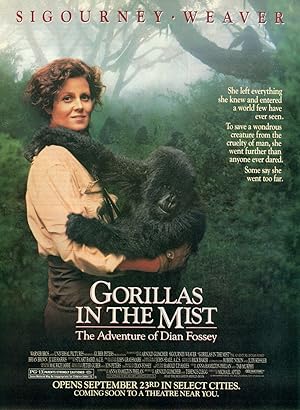 Gorillas in the Mist